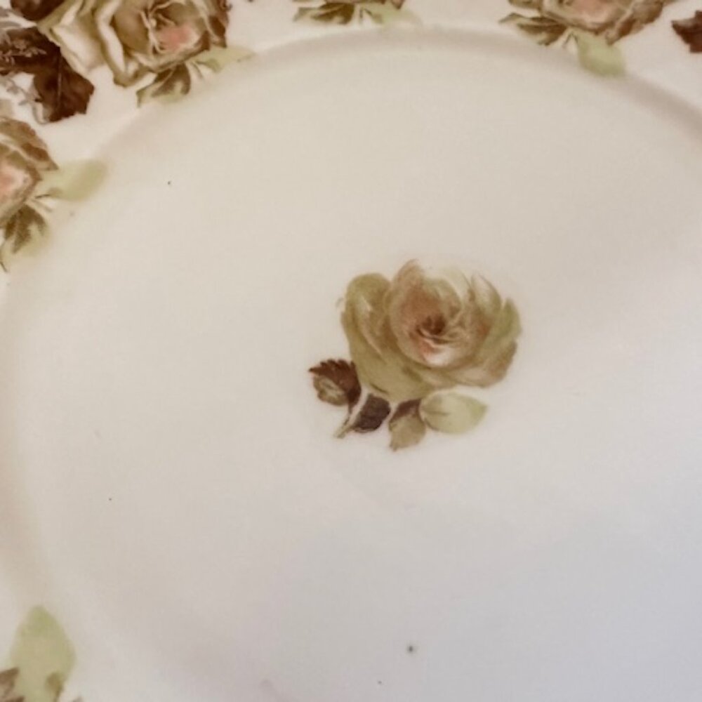 Vintage Porcelain Plate - Picture 4 of 7